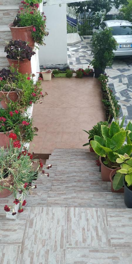 Spacious House With A Big Garden And Fire Pit Villa Tirana Buitenkant foto