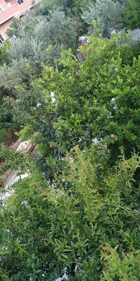 Spacious House With A Big Garden And Fire Pit Villa Tirana Buitenkant foto