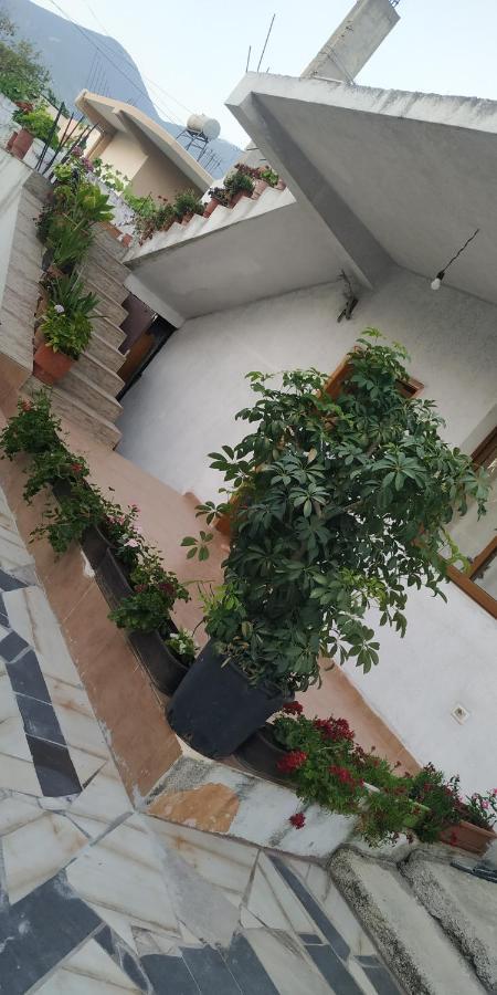 Spacious House With A Big Garden And Fire Pit Villa Tirana Buitenkant foto